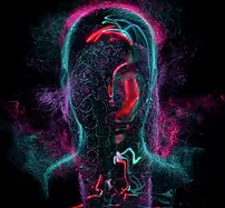 The Problem with Egos